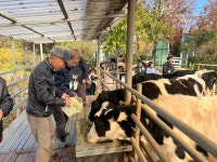 청주청원보건소, 치매환자 가족 힐링 목장 나들이