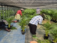 농번기 일손 걱정 끝… 음성군, 인력 보급 작전 조기 가동