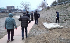 꽃샘추위 녹이는 노란 물결 기대하세요… 봉방동 충주천에 유채꽃 뿌린다