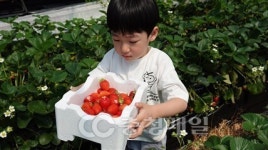 충남 부여 서울농장, 도시민과 농촌의 만남으로 생활인구 유입 이끈다