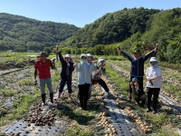 충남 공주시 옥룡동, 봄철 농촌 일손돕기 전개