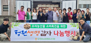 청주 오창농협, 청원생명 감자 나눔행사