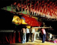 [기획특집] 테마가 있는 용인의 봄맞이 관광 명소