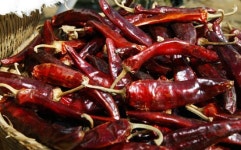 [Health living] 한국인의 매운맛, 캡사이신 A to Z