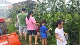 양평 별내마을서 하는 특별한 농촌체험