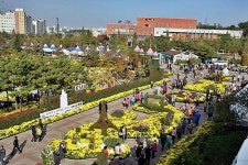 익산시농업기술센터, 오는 10월 28일 제13회 익산천만송이국화축제 개최