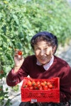 파주시 제23회 「경기도 농어민 대상」 3개 부문 최다 수상 쾌거