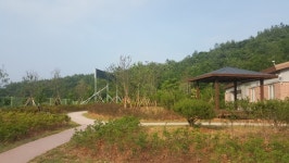 강진군, 바라밀강진실버하우스 녹색복지 숲 조성사업 완료