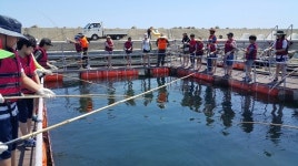 어촌체험 관광지로 각광 포항시 장기면 신창2리, 어촌체험 우수마을로 선정