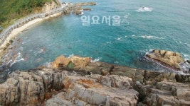 희망강릉 2016년 바다부채길 최고뉴스