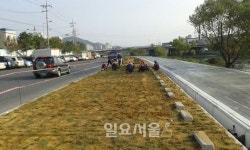 보령시, 대천천 하상주차장 주차 공간 늘린다