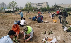 부천시, 도시농부학교 통한 체계적인 도시농업 교육 제공