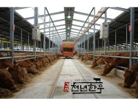 경주천년한우, 고품질화로 전국 최고 한우브랜드로 육성
