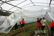 합천군, 농작물 재해보험료 80% 지원