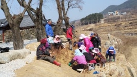 차황 철수마을 사계절 꽃동산
