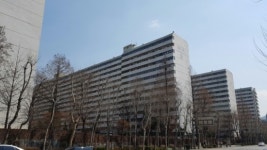 강남4구 재건축…봄바람 타고 솔솔