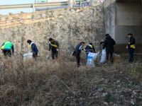 양주시 장흥면 감동365 봄맞이 가로환경정비 실시