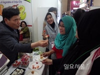 진주시 우수농산물 인도네시아 시장 개척 나서