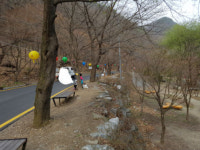 소요산 국민관광지 일명 박카스 아줌마 커피 아줌마 기승
