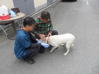 경주시, 광견병 무료예방접종 실시
