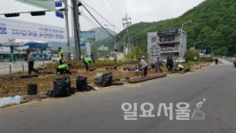 양주시 장흥면사무소, 장흥농협 아름다운 장흥 만들기 꽃 식재