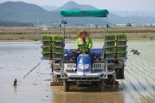 김석기 의원, 경주 안강 모내기 현장 찾아 농민들과 소통시간 가져
