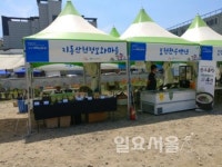 포천시 지동산촌정보화마을, 경기 파머스 마켓 참가