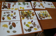 소외계층을 위한 배달강좌 실시