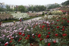 부천에서 즐기는 도심 속 자연