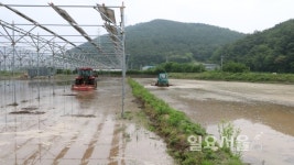 경남 고성에서 영농형 태양광 발전 개시
