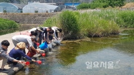 사천시, 죽천천 버들치 어린고기 방류사업 전개