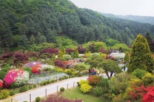 [Go-On 여행 이야기] 아침 고요의 시간, 가평