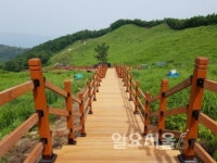 명성산 억새군락지 등산로 정비사업 추진
