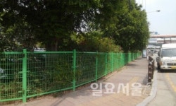 고양시, 원당 환승주차장 울타리 정비로 도시 미관 개선