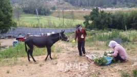 부산 해운대비치골프장 둘러싼 통행로 확보전쟁