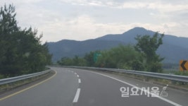 국도2호선 가로수에 가린 도로표지판