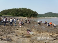 여름휴가는 미더덕의 고향 진동 고현 어촌체험마을로...