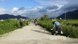 사천시 향촌동통장協, 봉남천 하천 풀베기 나서