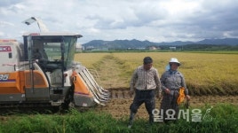 창원시,대산면서 올해 첫 벼 수확