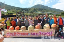 하동에서 경남슈퍼호박경진대회 열린다