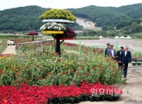 하동 북천 코스모스·메밀꽃 축제 개막