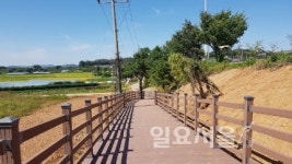 파주시 자유로 평화누리길 자전거도로 개통
