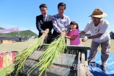 산청 동의보감촌서 열린 세시풍속 올게심니