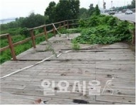 고양시, 고양대덕생태공원 시설물 보수 등 정비 나서