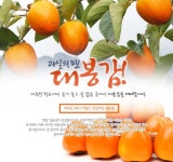 맛있는 감! 즐길 준비 됐는 감?