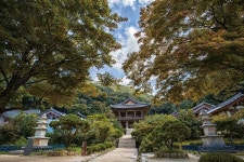 [Go-On 여행 이야기] 불현듯 가을이 보고플 때, 하루 간의 영주 여행