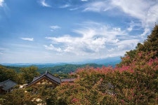 [Go-On 여행 이야기] 불현듯 가을이 보고플 때, 하루 간의 영주 여행