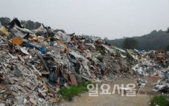 고양시 일산서구, 황룡산 일원 방치폐기물 2천 톤 처리