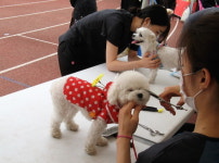 반려견에 빗장 푸는 유통업계
