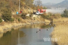 사천시 고병원성 조류인플루엔자 방역 총력